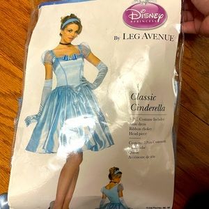 Cinderella costume